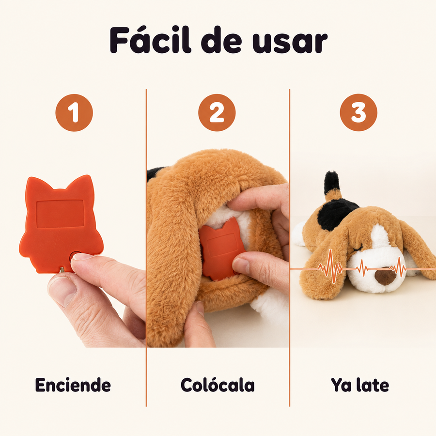 Fácil de usar en 3 pasos: enciende, colócala, ya late