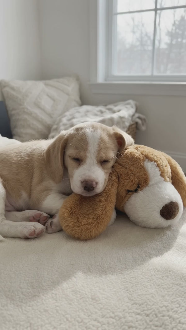 Cachorro con la cabeza sobre el peluche SnugBeat