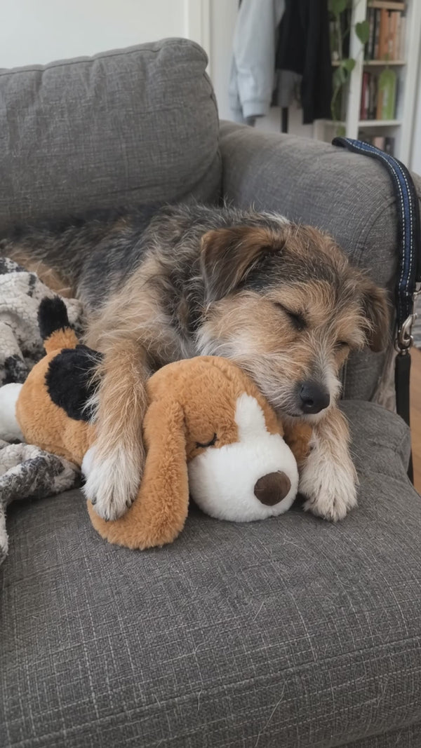 Perro dormido abrazando el peluche SnugBeat en el sofá